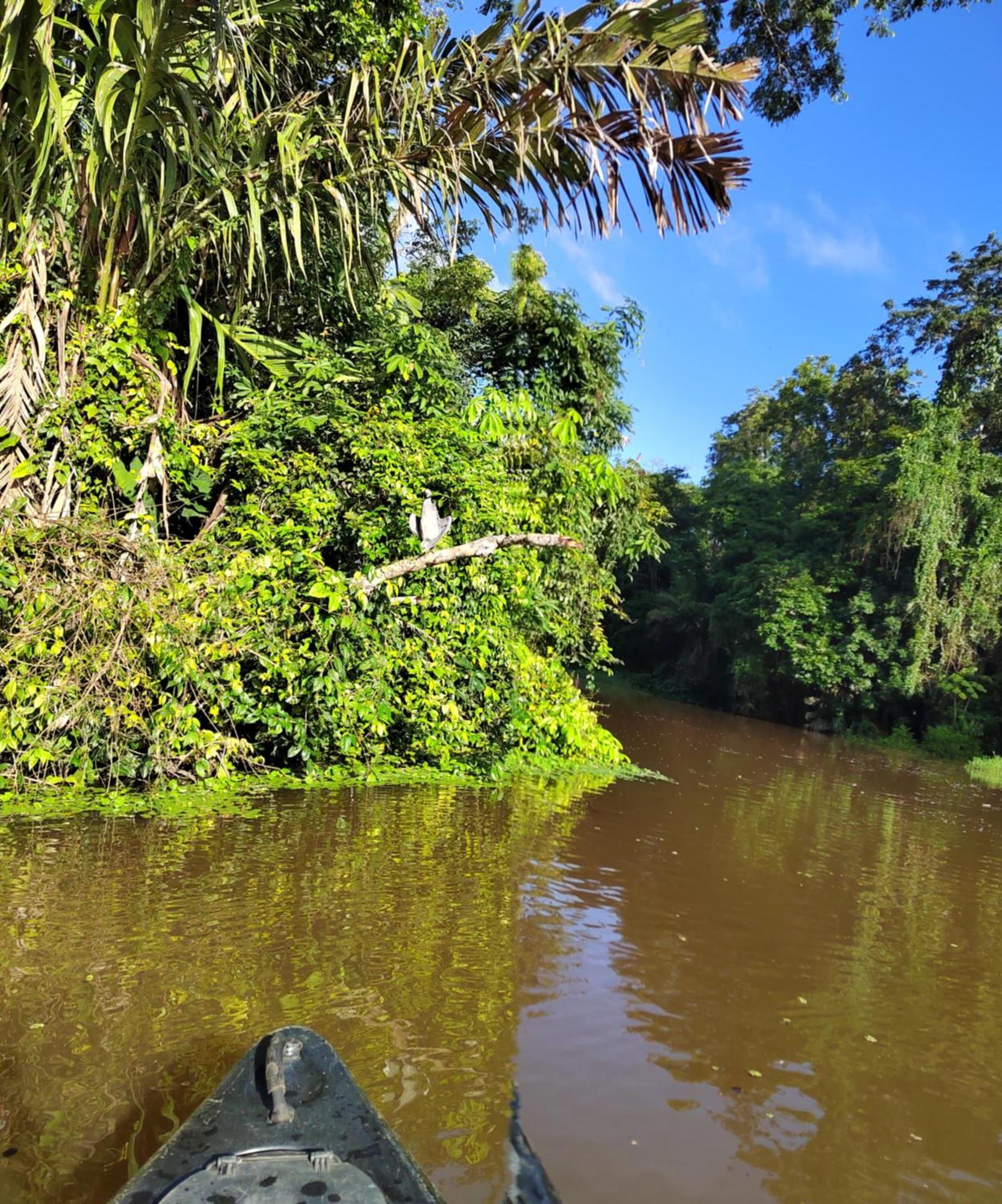 Cabinas Agamy Tortuguero Exterior foto